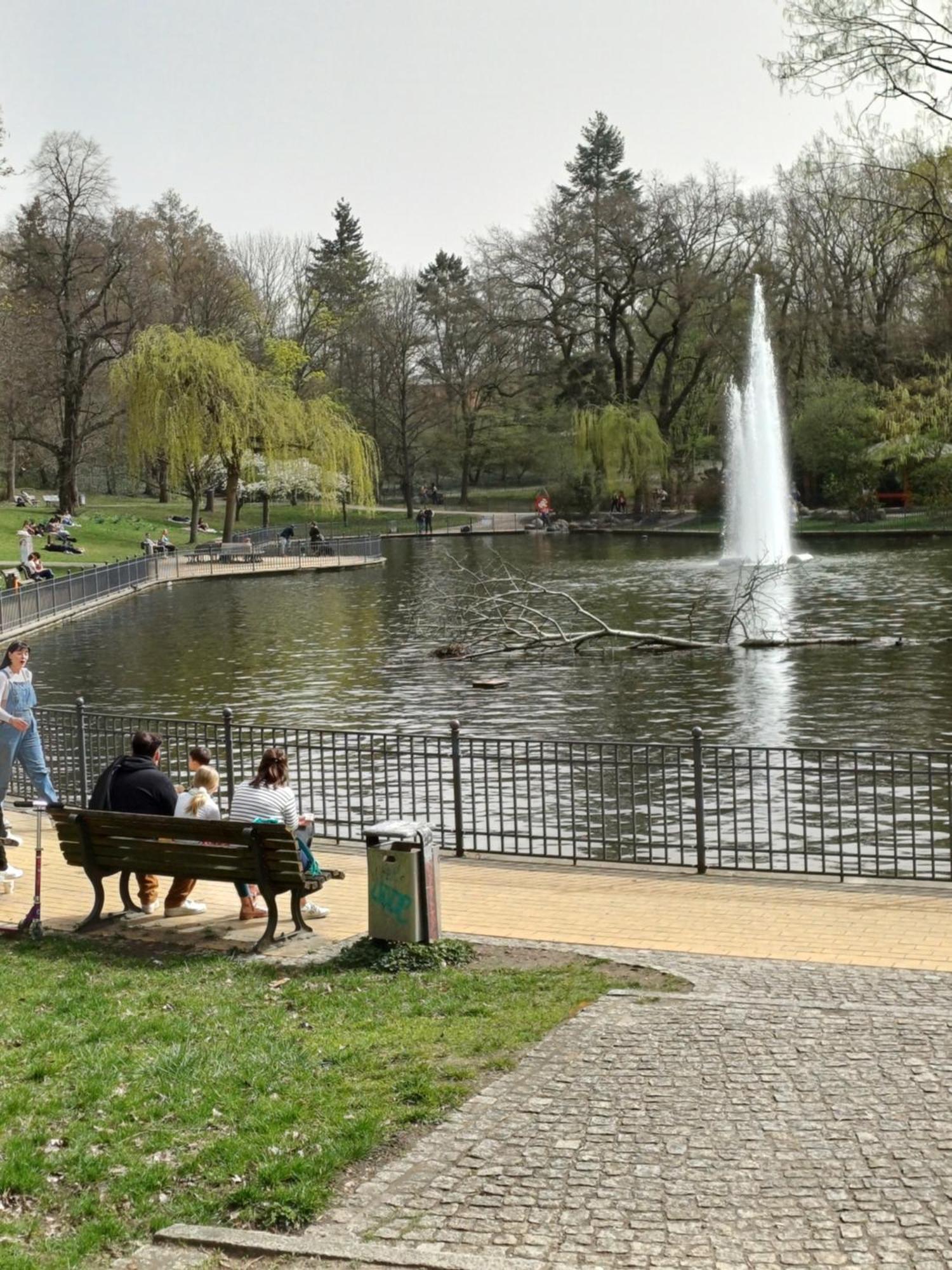 Suite Park & City Alex 4 Rooms 2 Bathrooms 2 Kitchen Berlin Zewnętrze zdjęcie